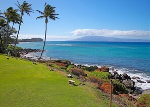 Polynesian Shores