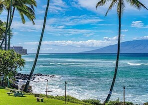 Polynesian Shores
