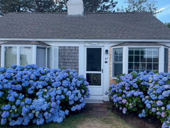 Welcome to Cottage 37 - Sundancer