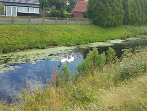 Boendeområde