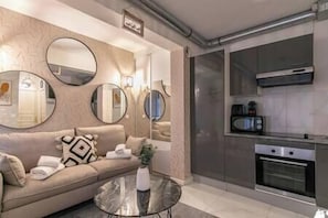 Salon avec cuisine équipée (3)