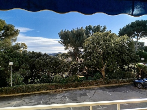 La vue