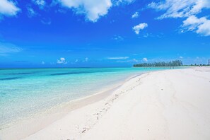 Paradise Found - Beach