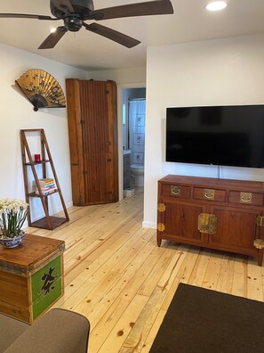 Living room with Roku TV and Starlink
