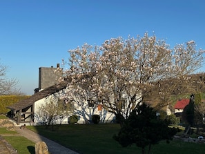 Ferienhaus – Bergblick am Köterberg