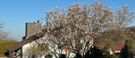 Udendørsområde
