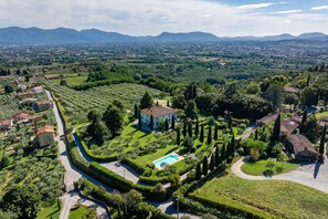 Garden, Outdoor, Pool