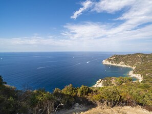 View