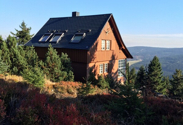 Exteriör