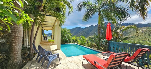 Tropical pool side lounging