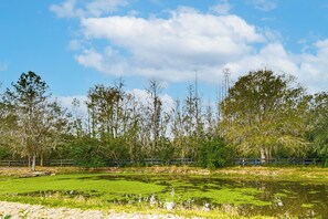 Pond Views | Working Horse Farm