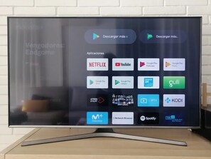 Television