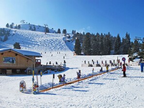 Baum, Schnee, Winter, Erholung, Piste, Einfrieren, Bergstation, Steigung, Glazialmorphologie