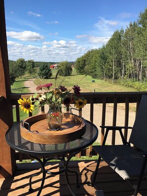 View during warm months from the veranda down the driveway to the barn.