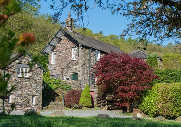 View From Garden