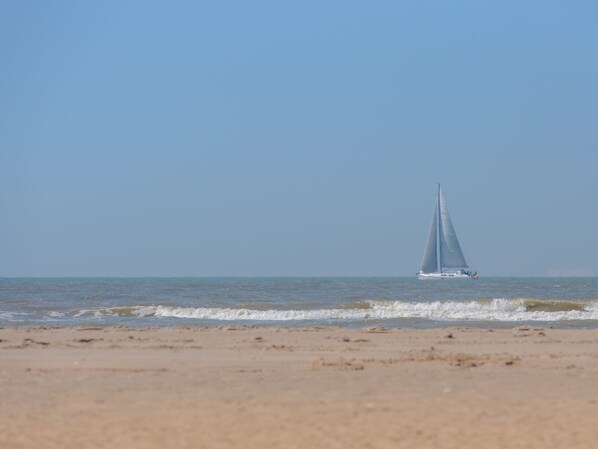 Wasser, Himmel, Boot, Watercraft, Fahrzeug, Segeln, Strand, Mast, Segelboot, Baum
