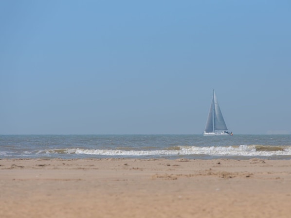 Wasser, Himmel, Boot, Watercraft, Fahrzeug, Segeln, Strand, Mast, Segelboot, Baum
