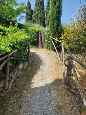 Sentier d'accès (1)