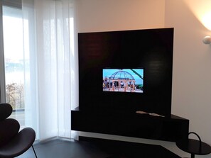 Television