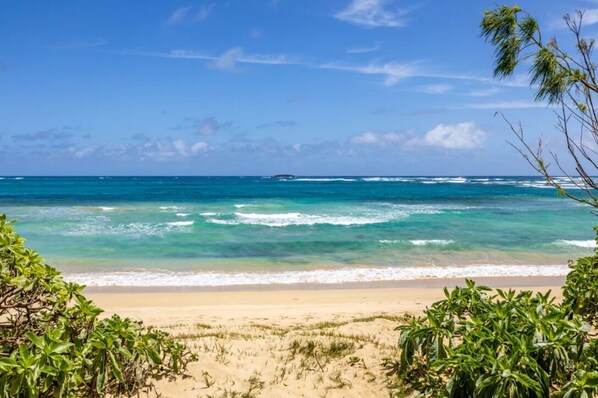 Playa