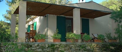 Exteriör
