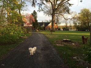 Property grounds