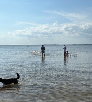 Shallow water on (sand shelf area) river.  This is right off the (cove)