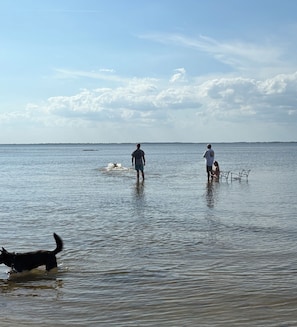 Shallow water on (sand shelf area) river. This is right off the (cove)
