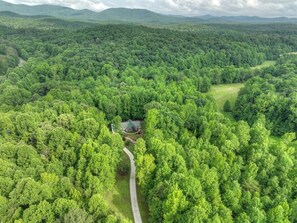 Nestled among the trees, and situated on 7 private acres, this is your escape!