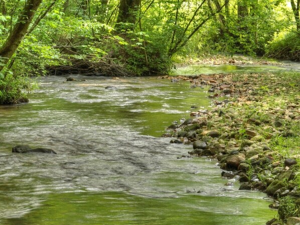 A peaceful 2 minute walk from our back gate takes you to this natural splendor.