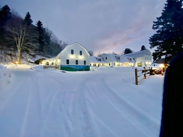 Exteriör