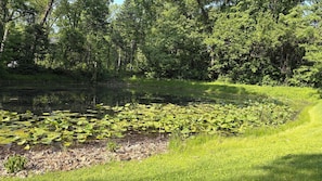 Fishing pond is part of our property and usable by guests