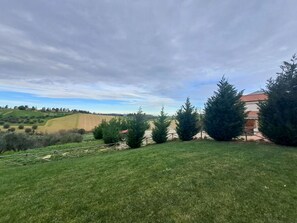 Landschaft, Einfach, Lärche, Rasen, Immergrün, Landscaping, Pine Familie