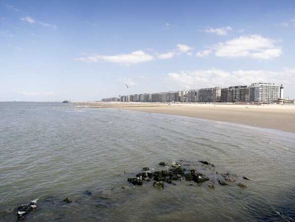 Daytime, Wasser, Horizont, Küste, Meer, Landschaft, Küsten Und Ozeanische Forms, Strand, Ufer