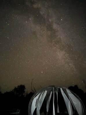 Stargazing