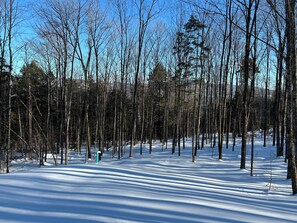 Back Yard Winter View