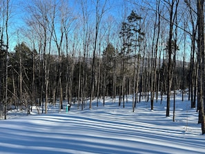 Back Yard Winter View