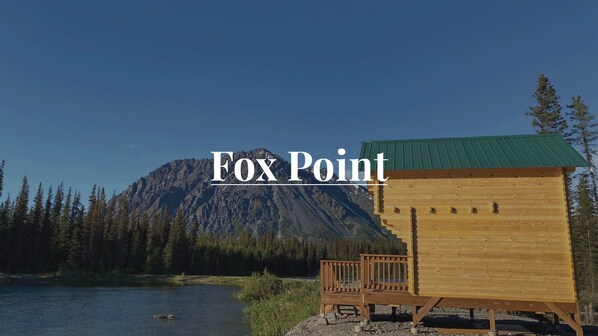 Fox Point Cover Image