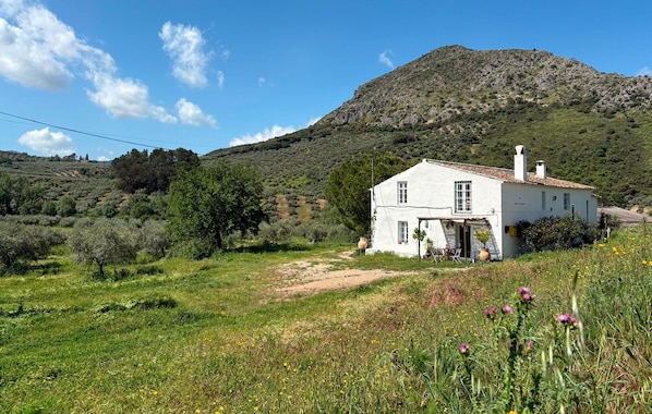 house