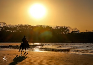 Sunset horseback rides on Jacó Beach — unforgettable and serene!