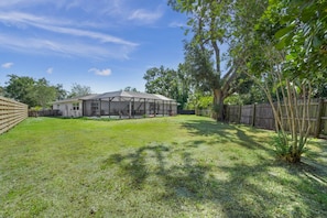 Spacious backyard area: run around under the sun!