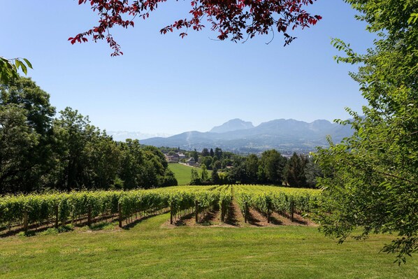 Enjoy the location of this property in the vineyards.