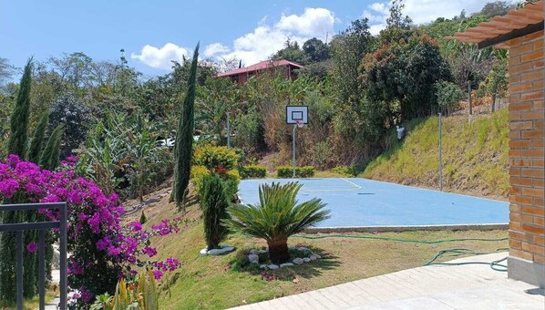 Sport court