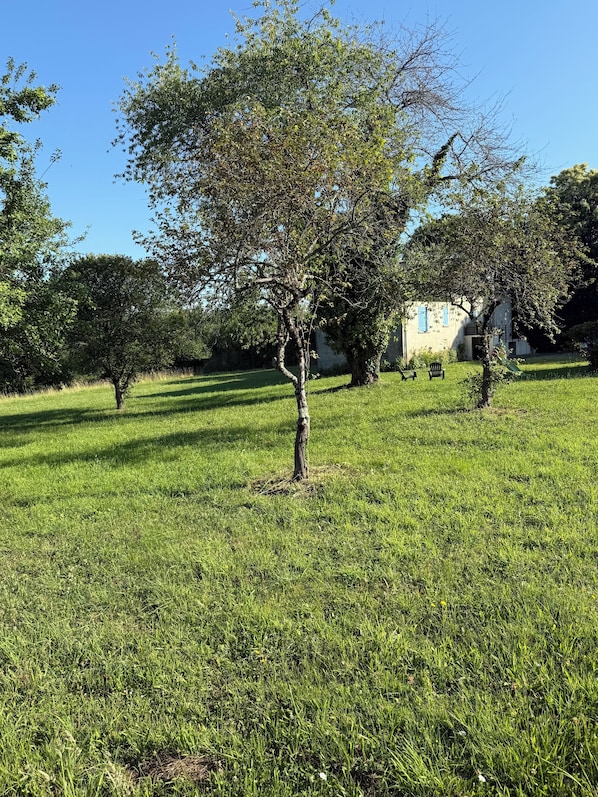 Property grounds