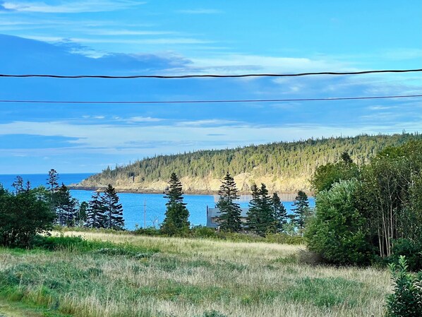 Views across Whale Cove from the front porch