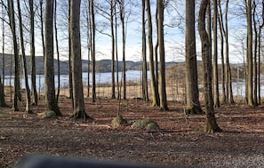 area