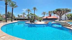 Palm trees