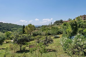 Vegetation, Shrub, Plant Community, Rural Area, Hill Station, Plantation, Garden, Shrubland, Botanical Garden, Chaparral