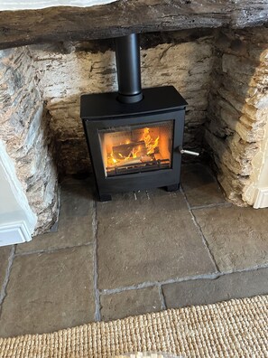 Wood burning stove