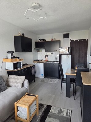 Piece de vie et kitchenette